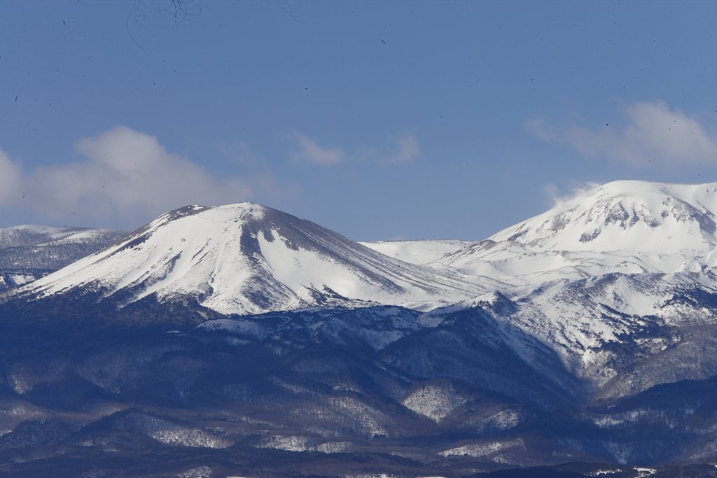 リベンジ成る