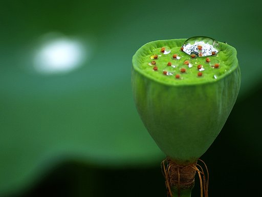 水滴