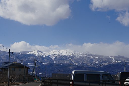 雪ウサギ