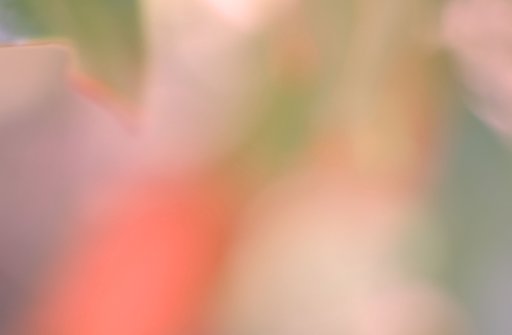 彩