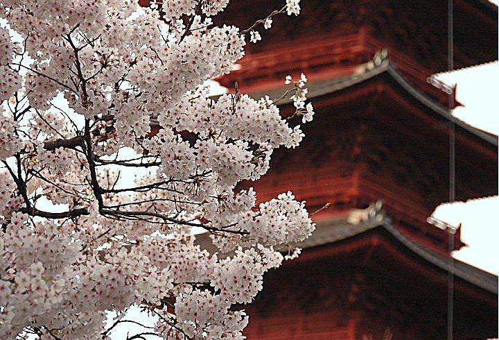 池上本門寺ー五重塔