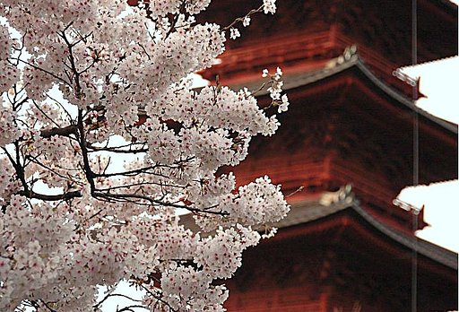 池上本門寺ー五重塔