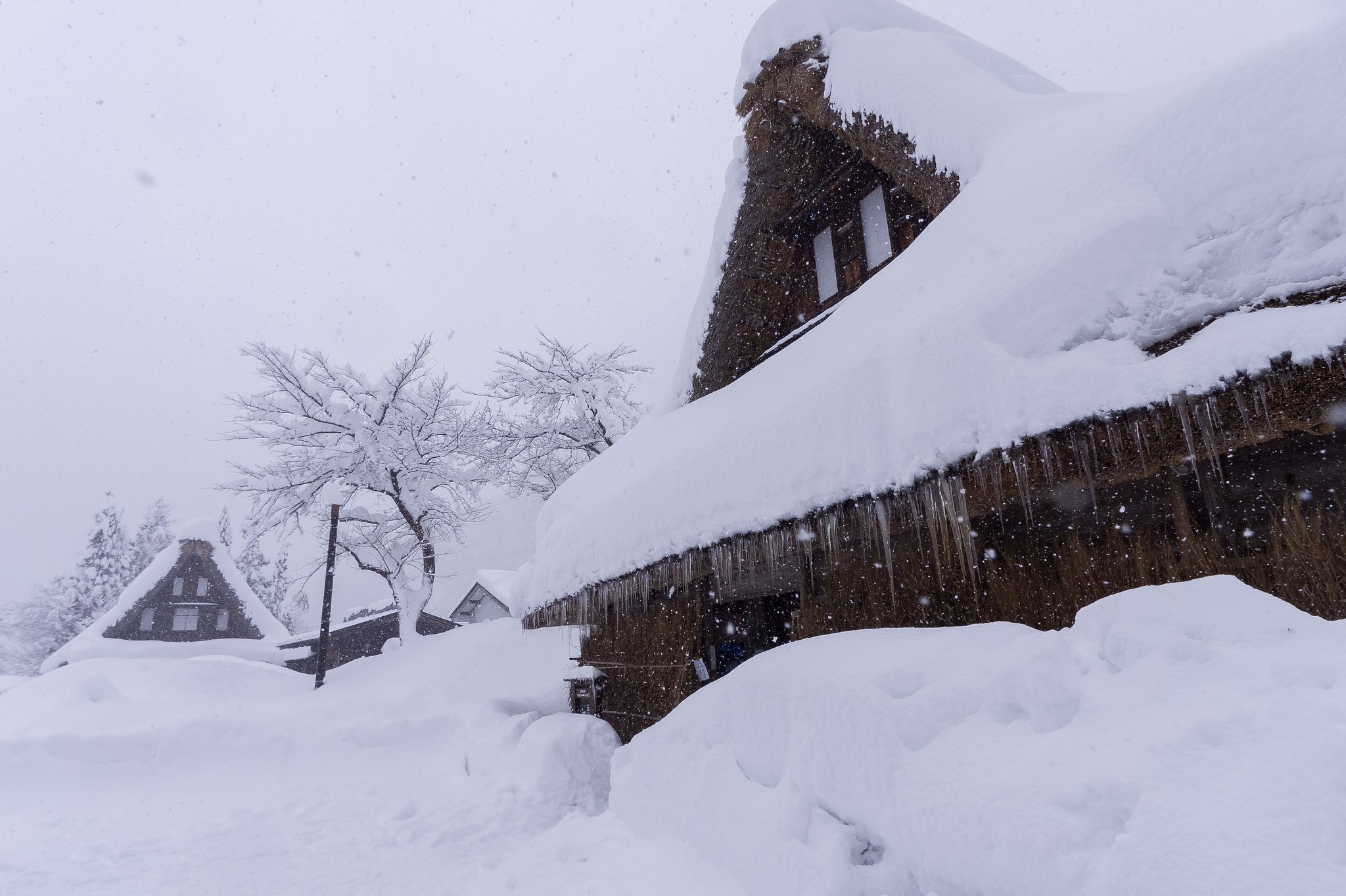 雪に埋もれる～五箇山