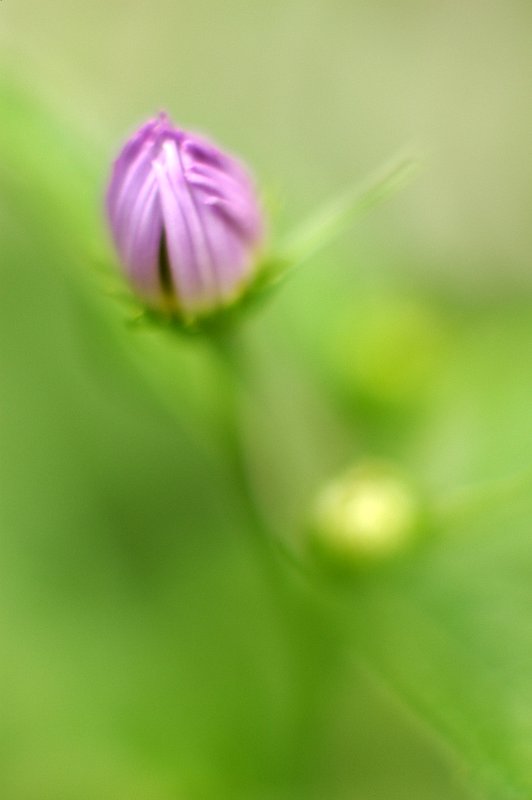 タクマーも負けてないぞ　＃１
