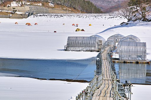 岩洞湖 ワカサギ釣り