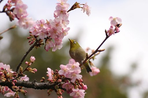待ちきれず・・・