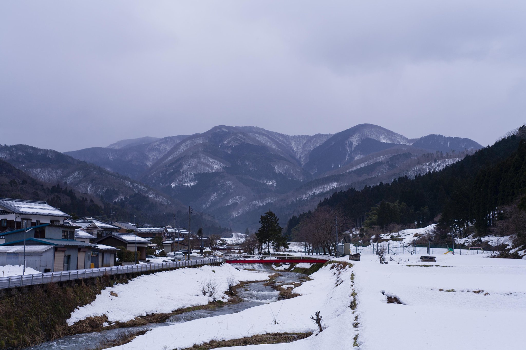 沢山残ってる。