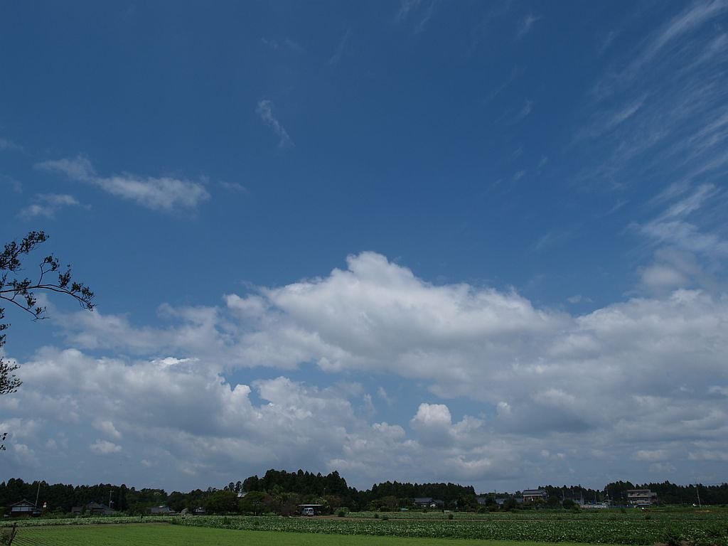 久しぶりの青空