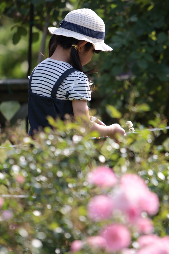 君は薔薇より美しくなる　2017