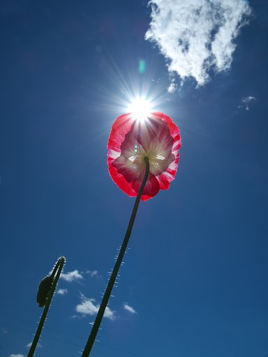 光芒