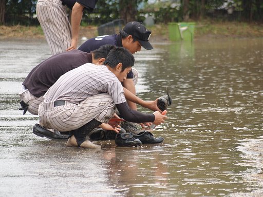 球児は川へ洗濯に・・・