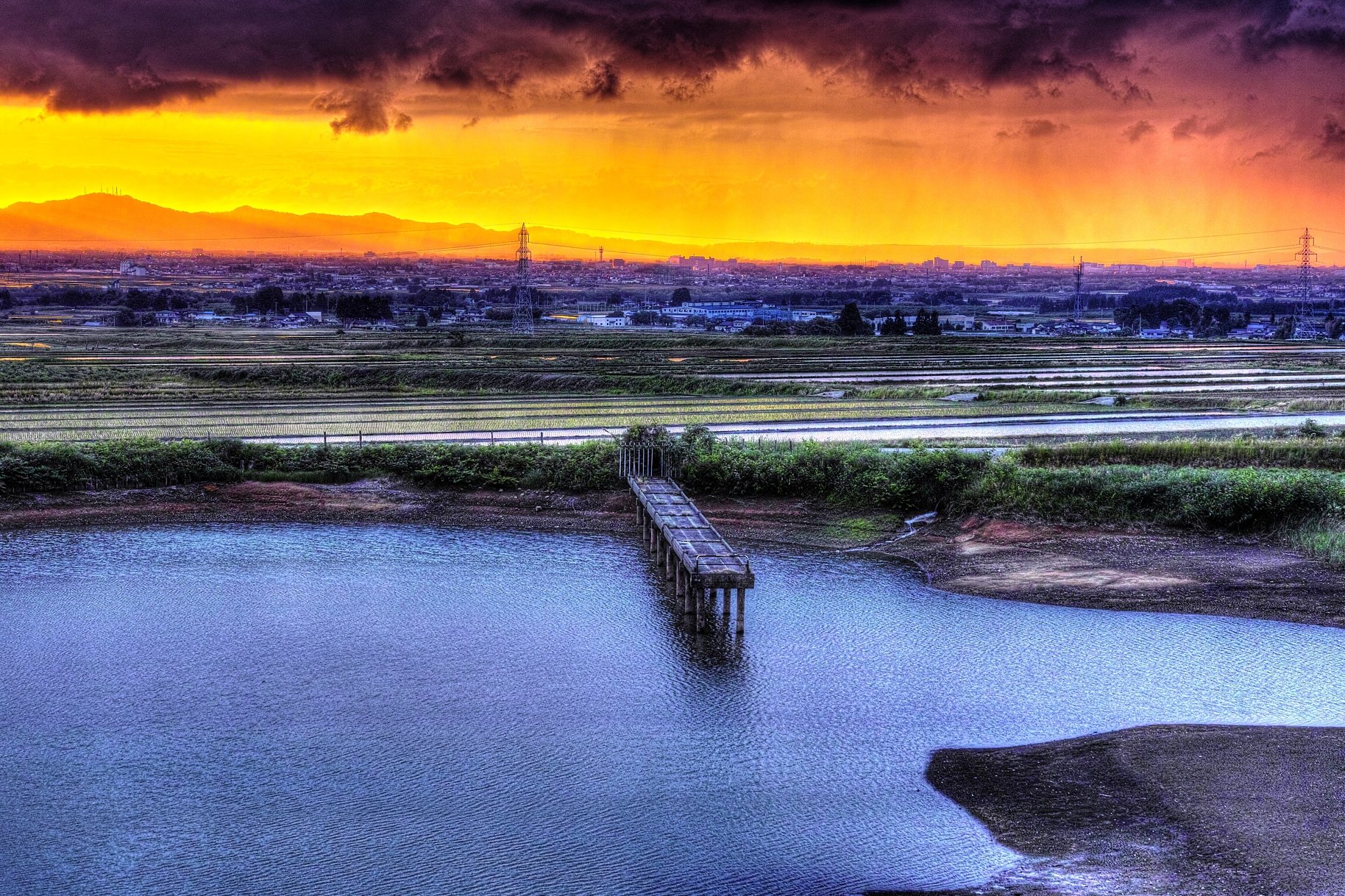 庄内 五月