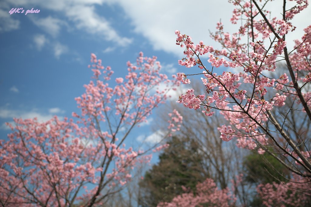 Otus 28mm F1.4 ZF2