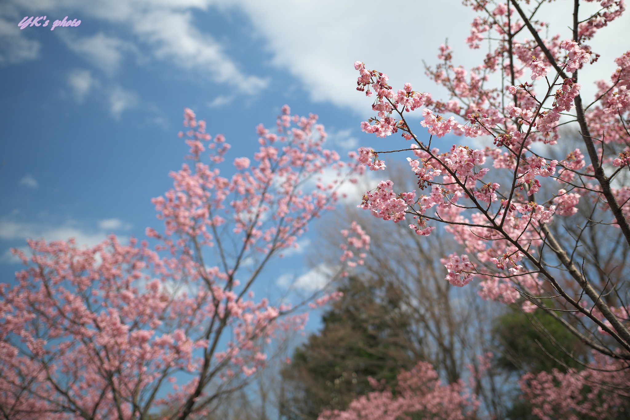 Otus 28mm F1.4 ZF2