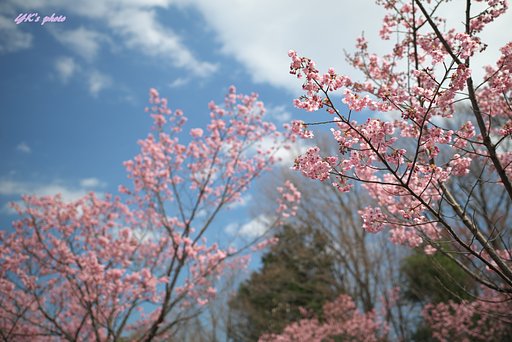 Otus 28mm F1.4 ZF2