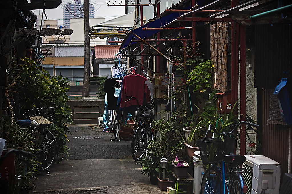 回顧の路地