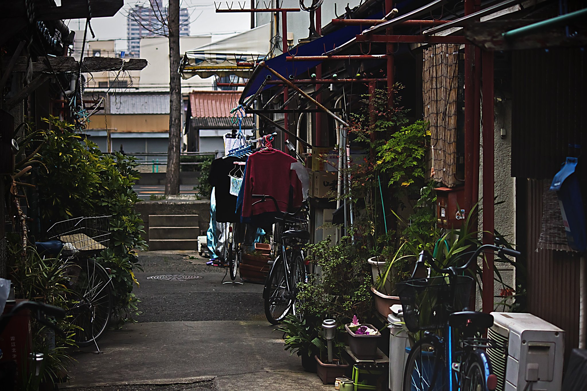 回顧の路地