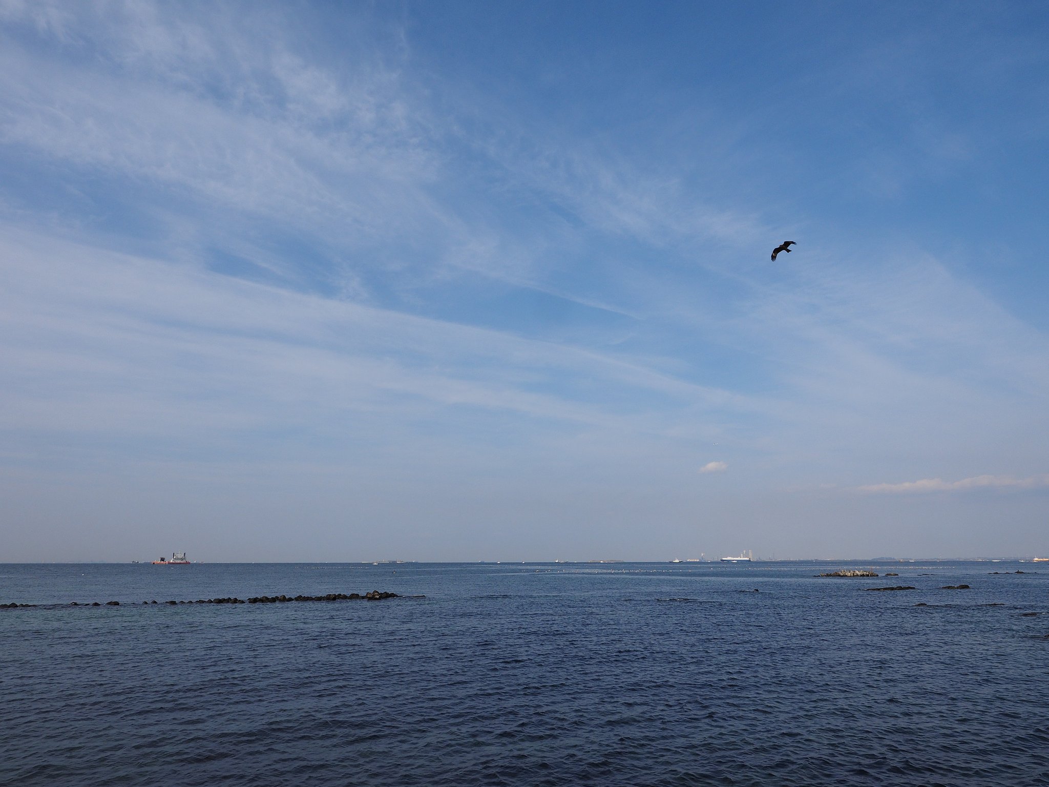我が空
