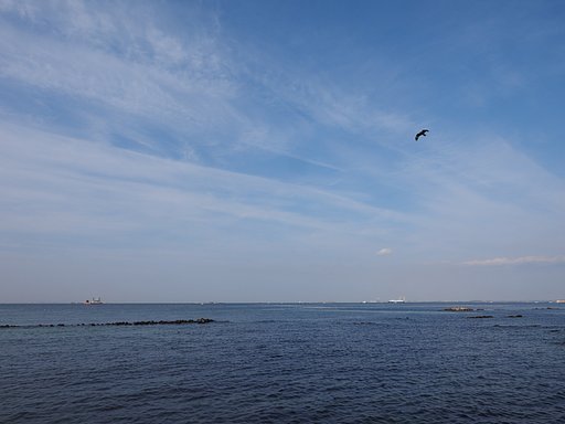 我が空