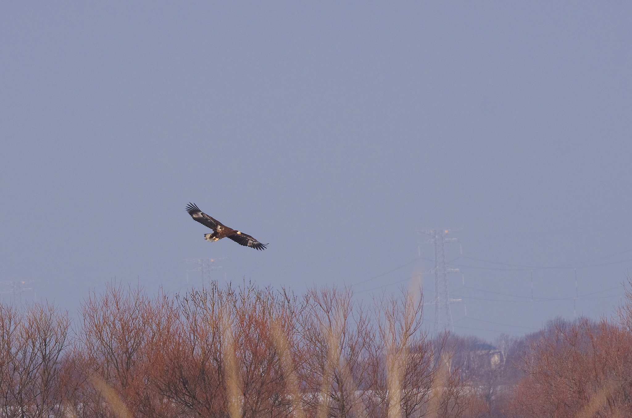 滑空