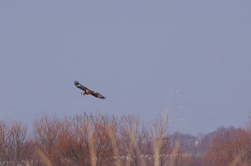 滑空