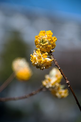 AF-S NIKKOR 24-120mm F4G ED VR