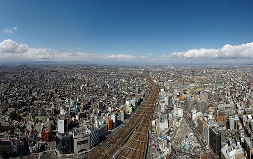 鳥になって〜