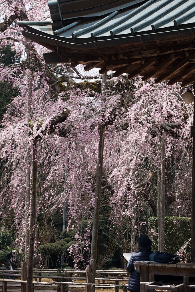 長光寺