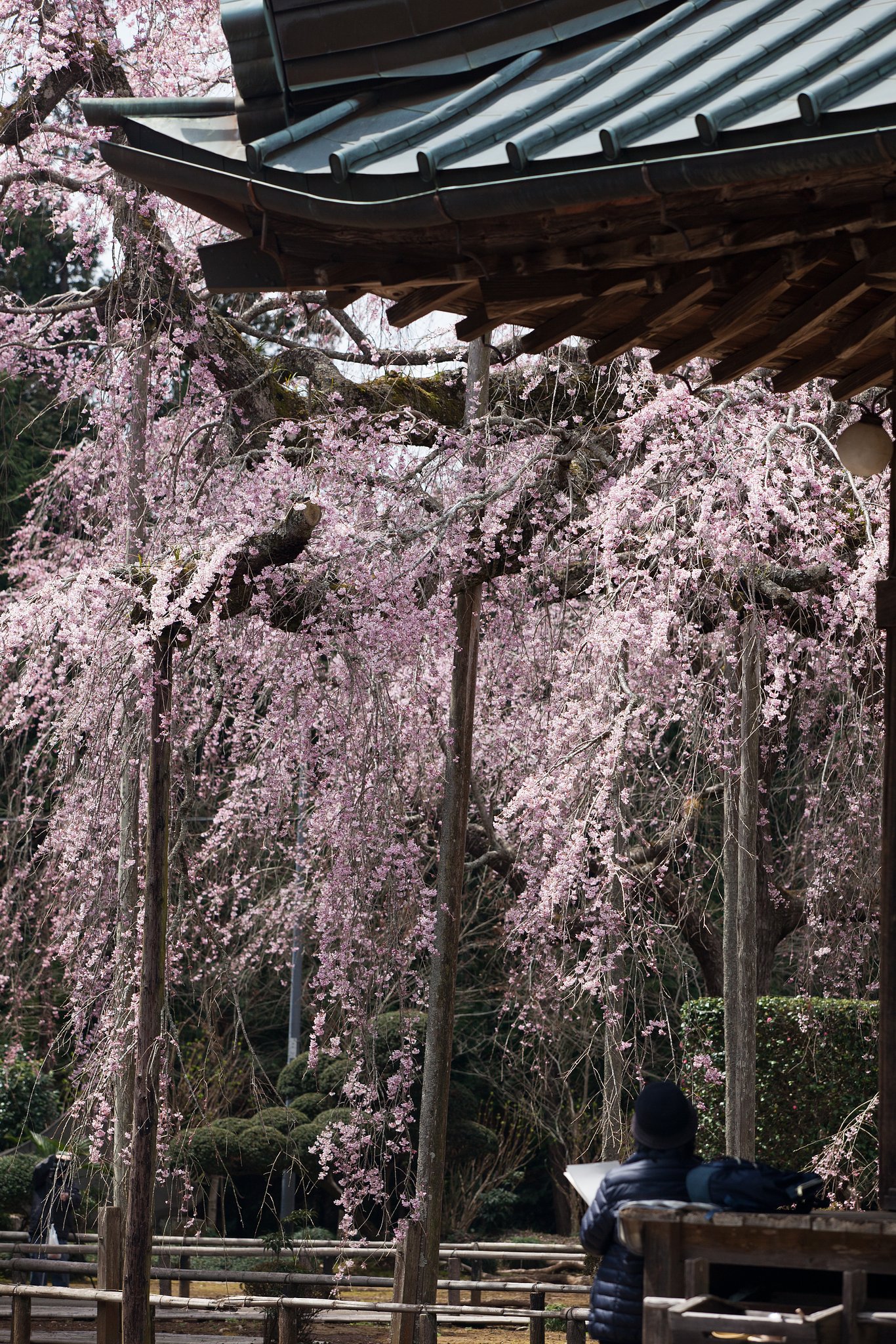 長光寺