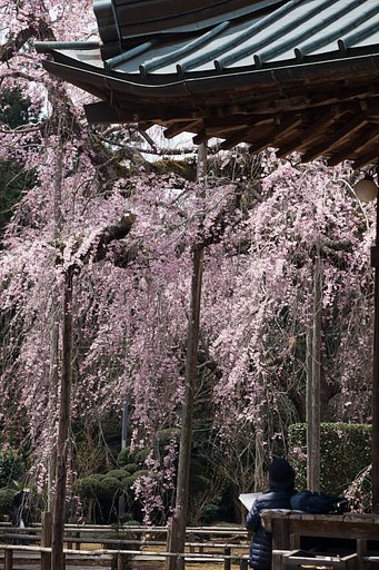 長光寺