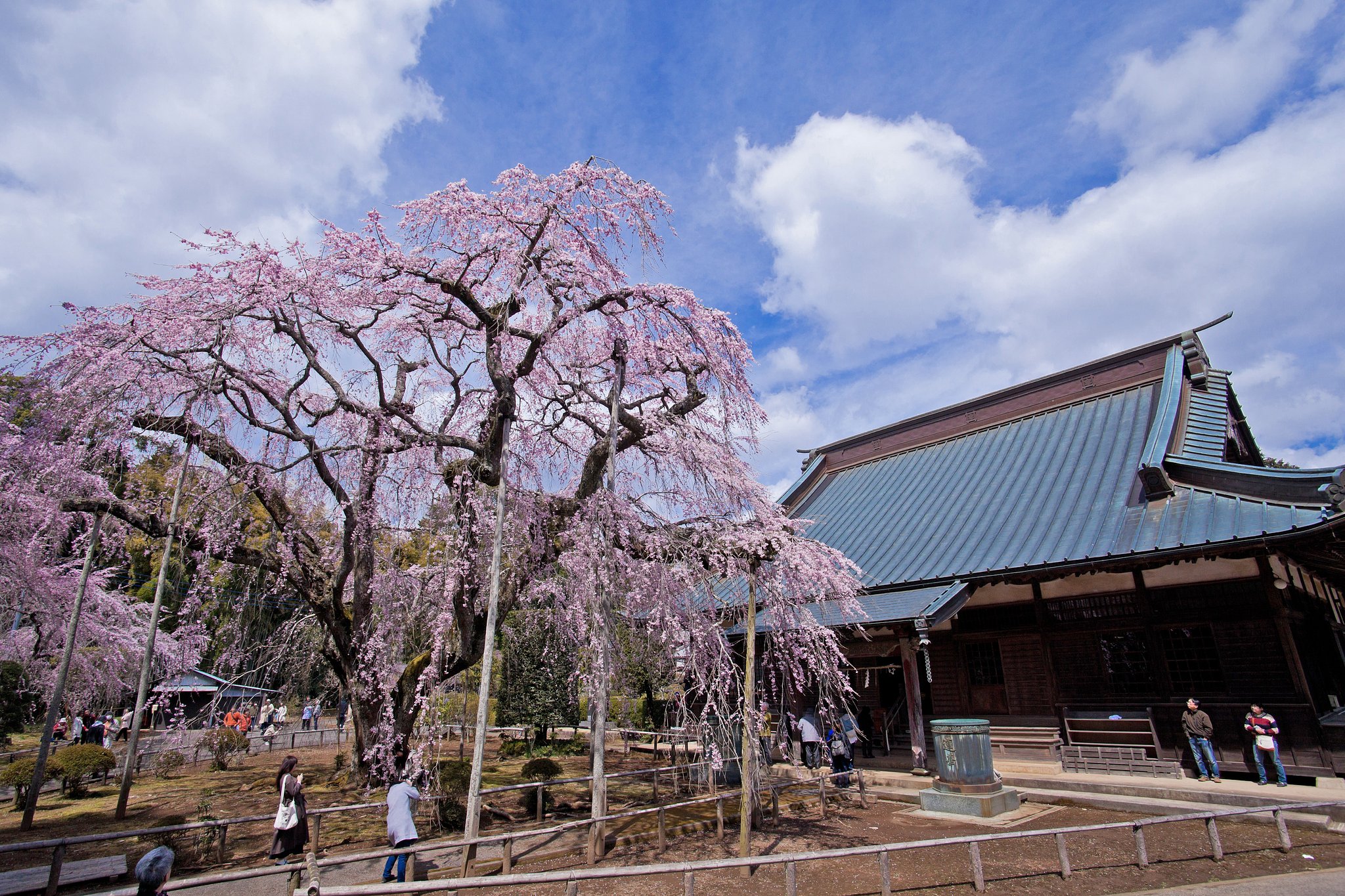長光寺全景