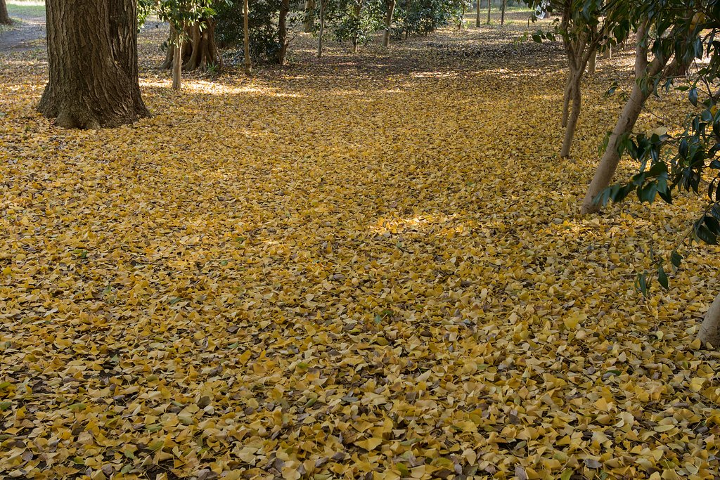 EF16-35mm F2.8 L