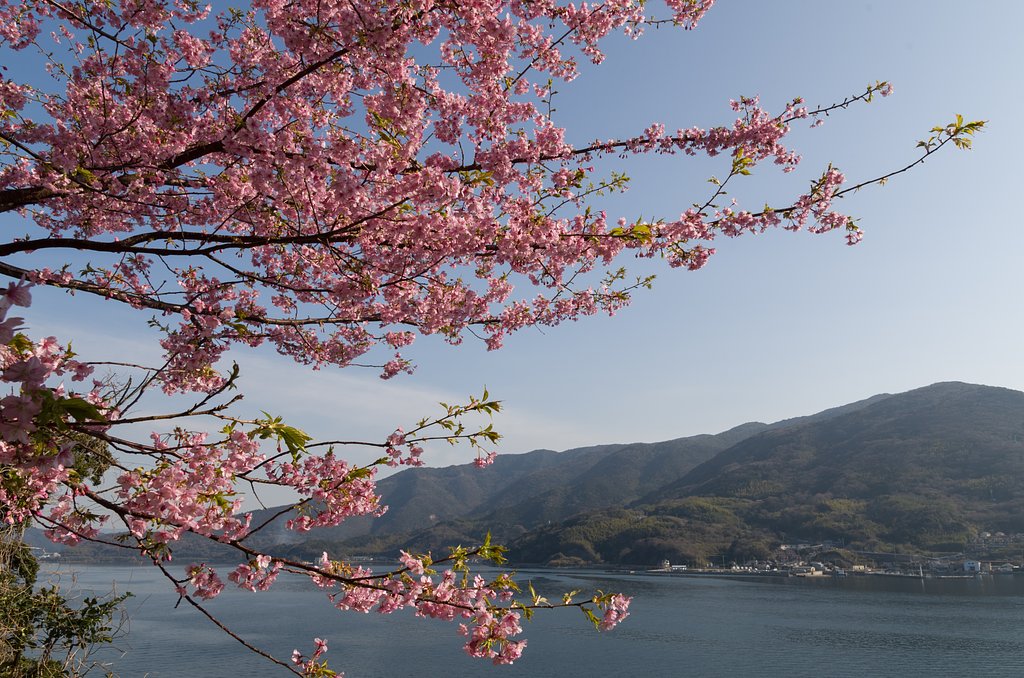 室津半島