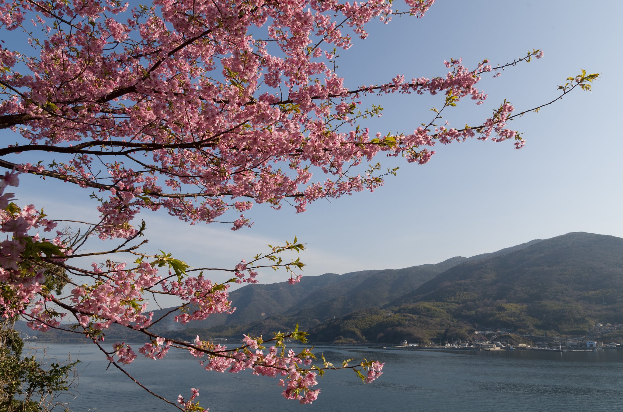 室津半島