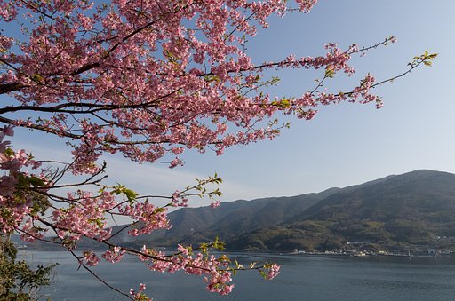 室津半島