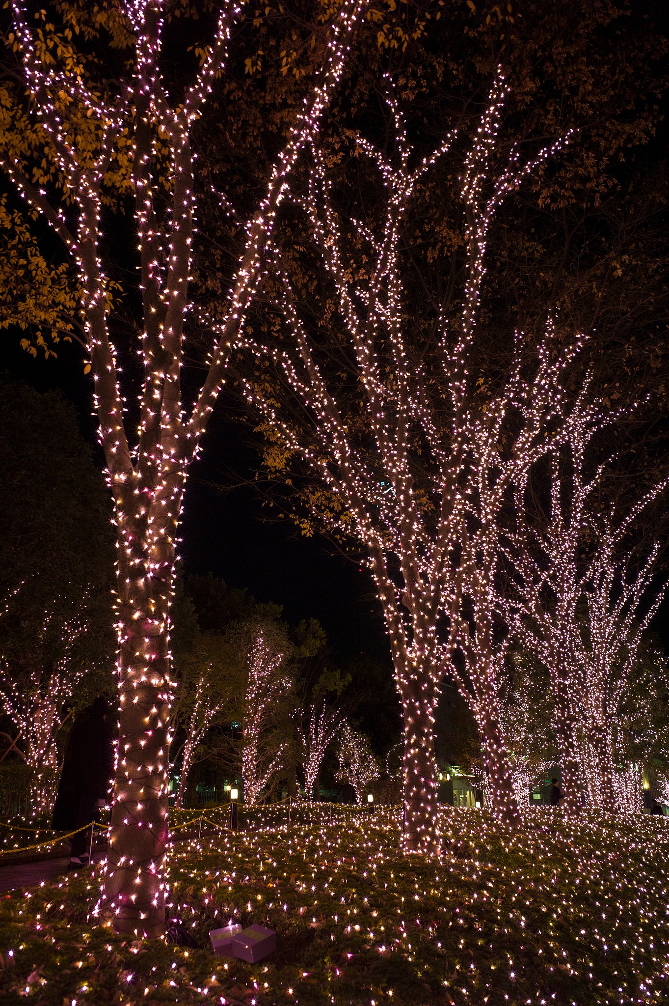 LEICA ELMARIT-M 28mm F2.8 ASPH