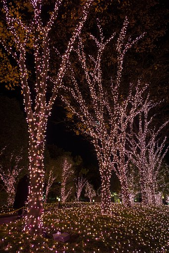 LEICA ELMARIT-M 28mm F2.8 ASPH
