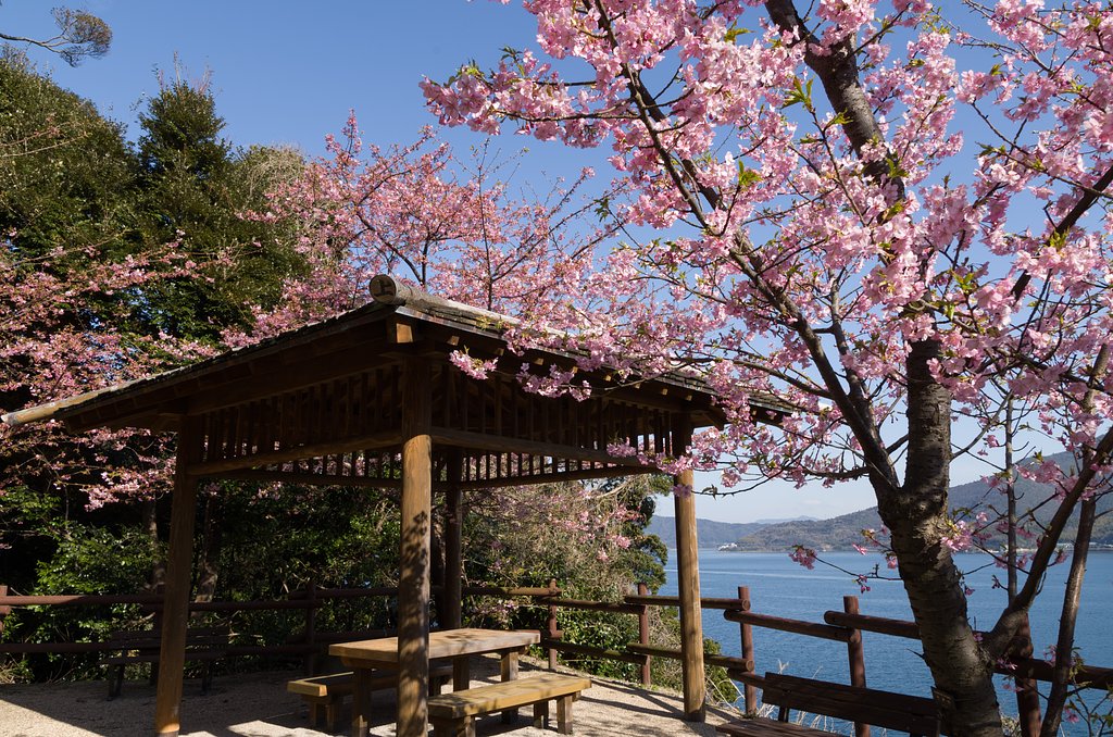 東屋