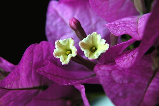 5月20日の写真