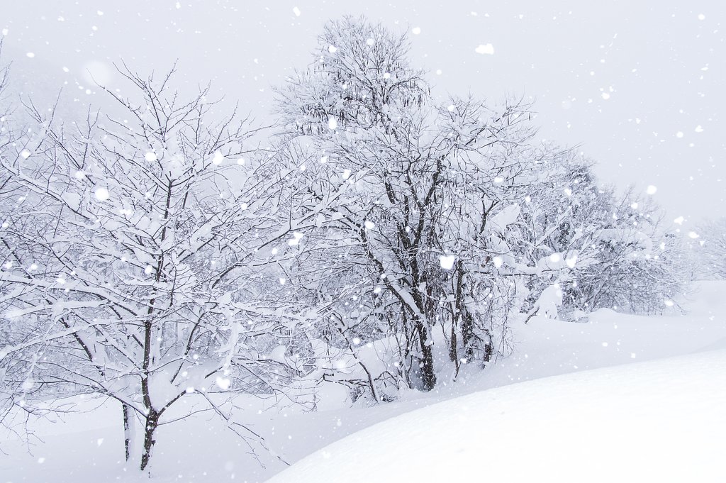 winter Last photo