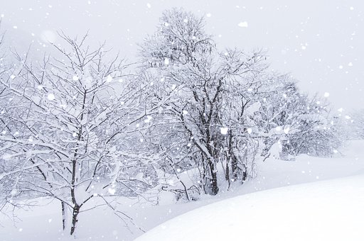 winter Last photo