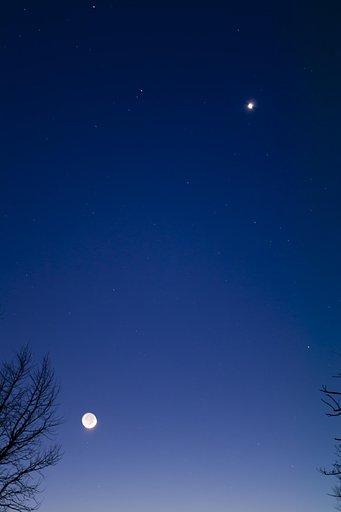 2月28日の写真