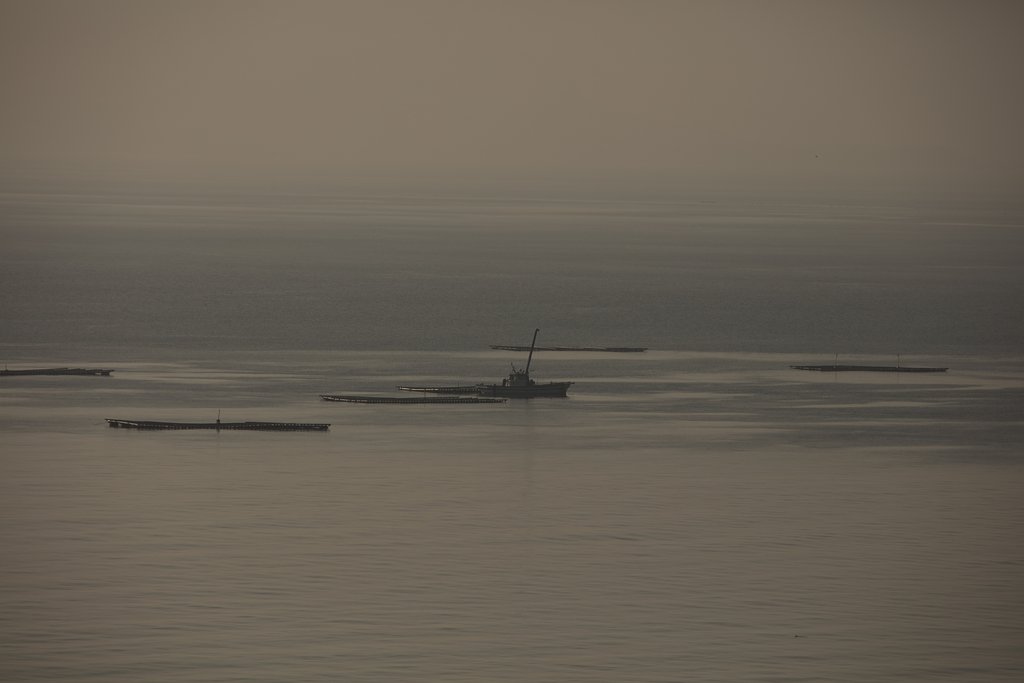Y/C TT300mm F4
