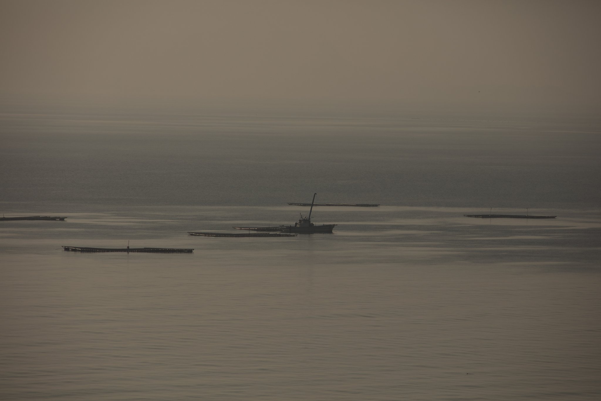 Y/C TT300mm F4