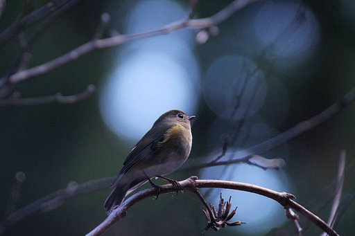 12月15日の写真