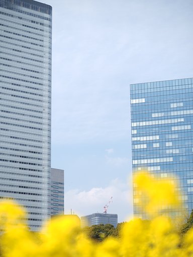 春が立ちのぼる