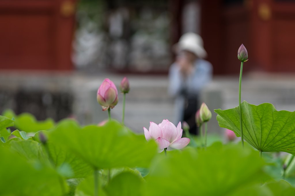 極楽・・