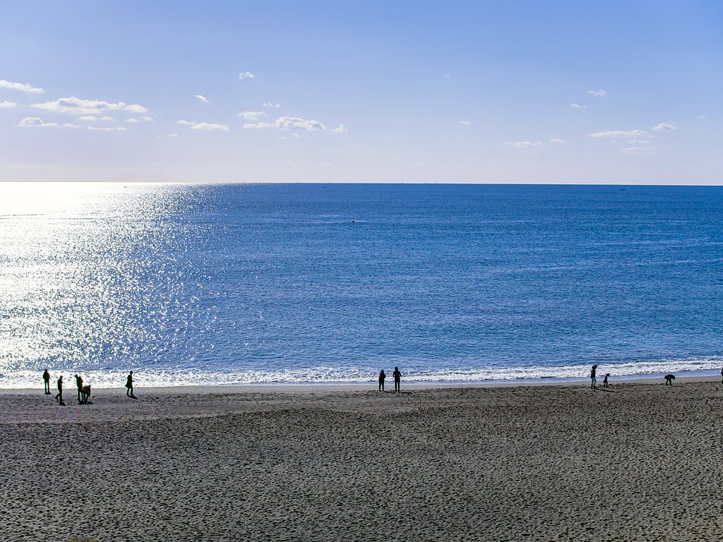 桂浜 2
