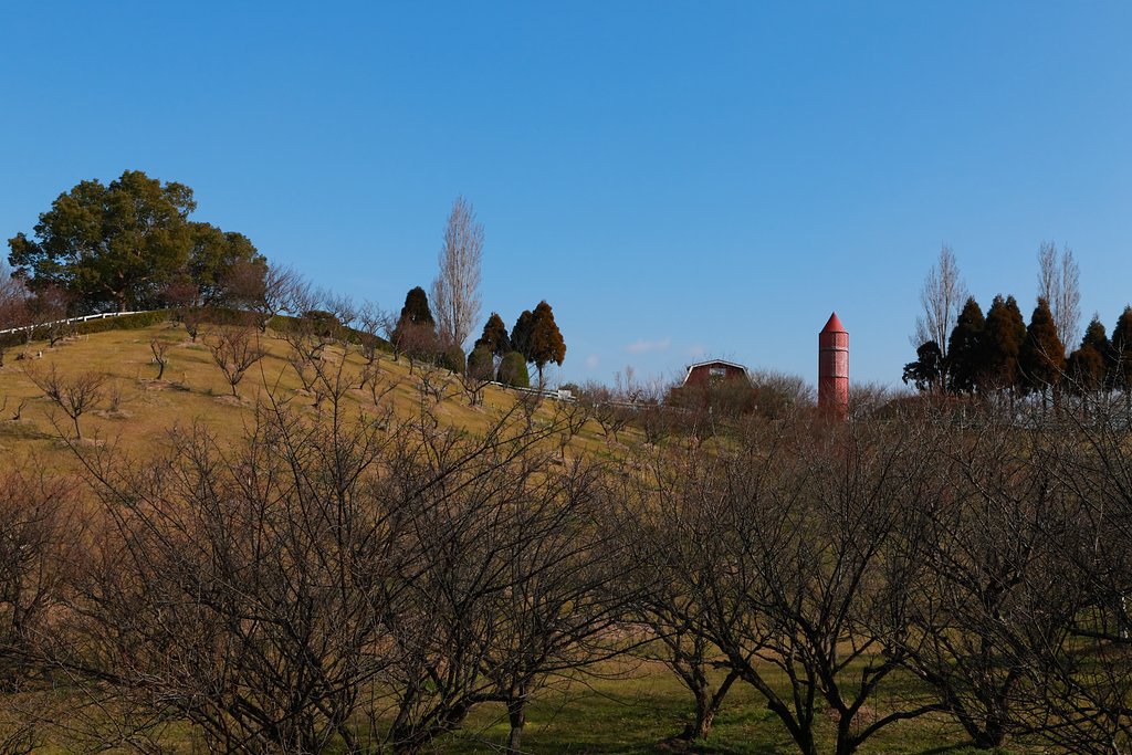 そして神戸Ⅱ
