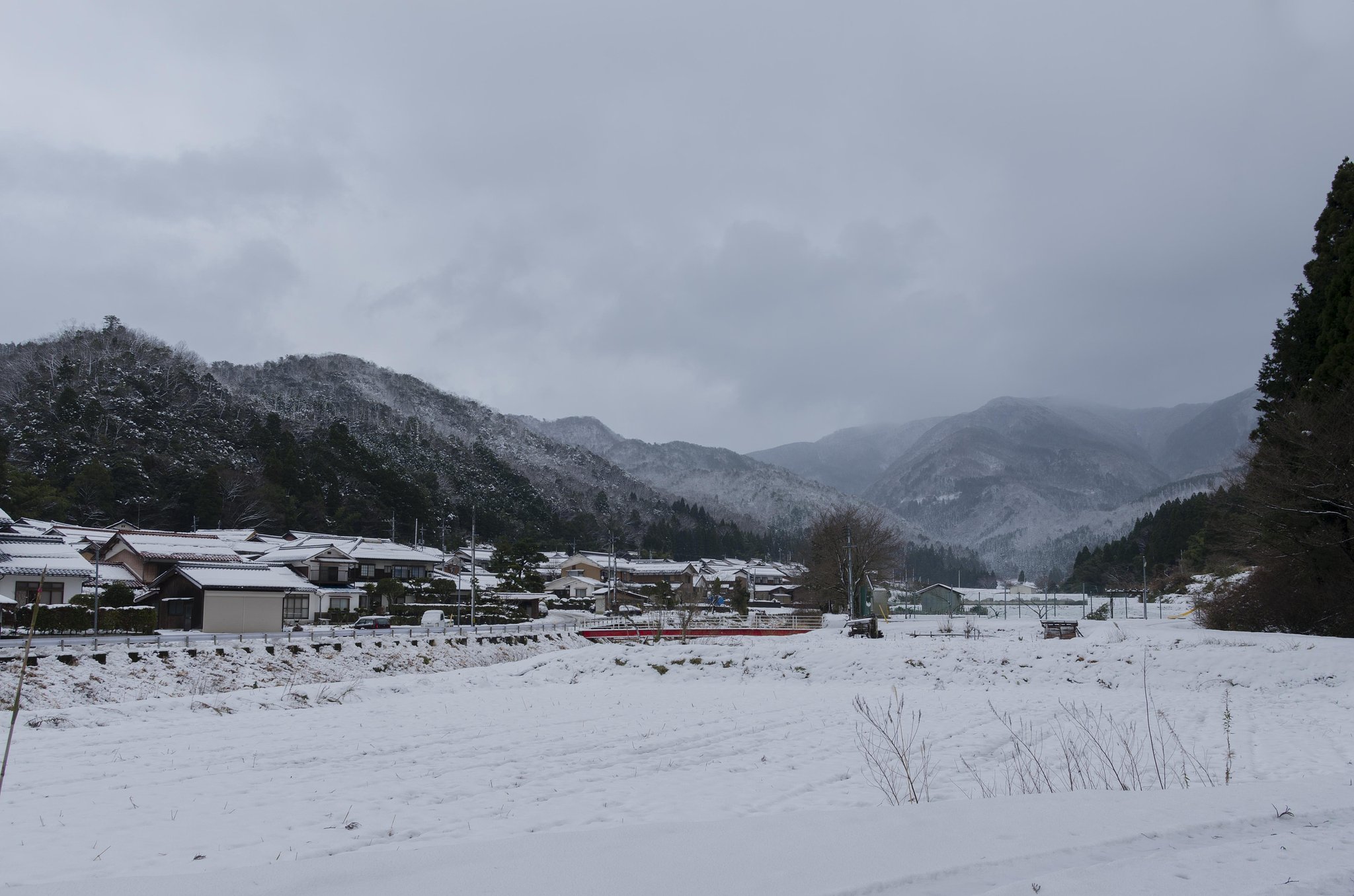 吹雪いて！